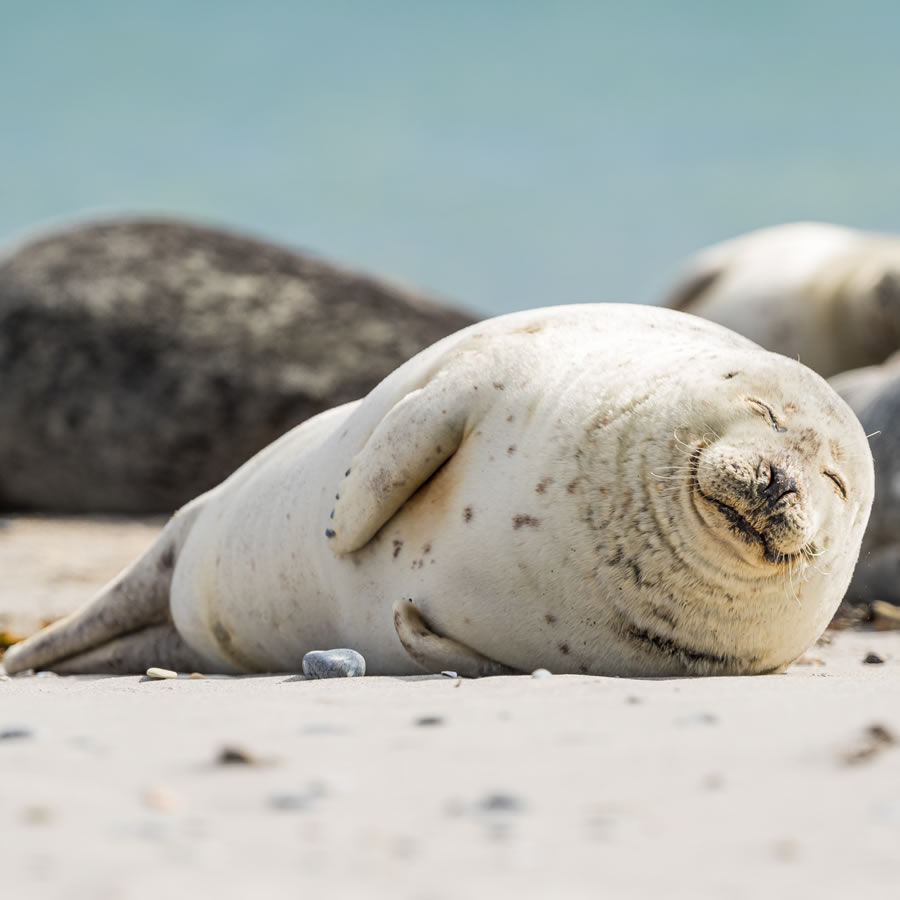 zdenek-machacek-uRQlCmfOCRg-unsplash-cropped